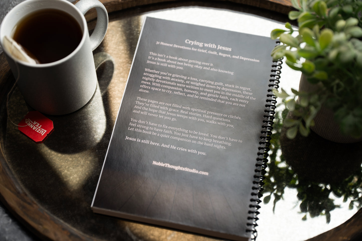 Crying With Jesus 31 Evening Devotionals (Spiral Binding)