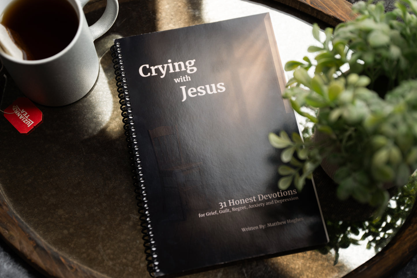 Crying With Jesus 31 Evening Devotionals (Spiral Binding)