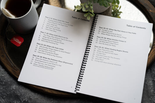 Crying With Jesus 31 Evening Devotionals (Spiral Binding)