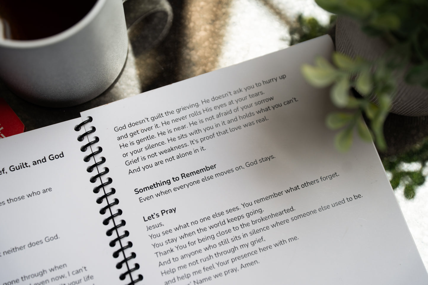 Crying With Jesus 31 Evening Devotionals (Spiral Binding)