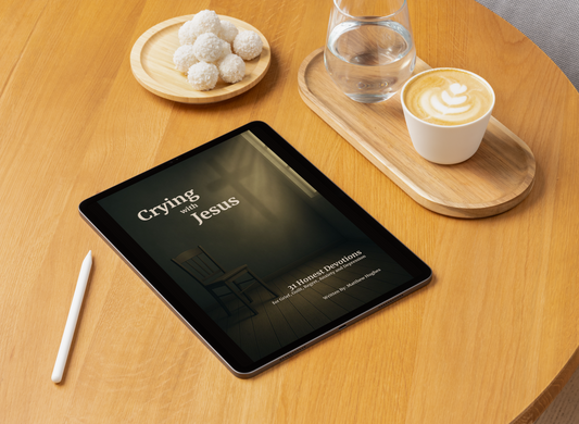 Crying With Jesus 31 Evening Devotionals Digital Download (PDF)